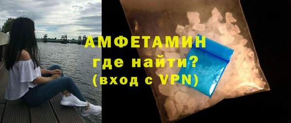 гидра Рославль