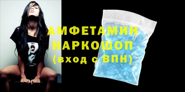 гидра Рославль