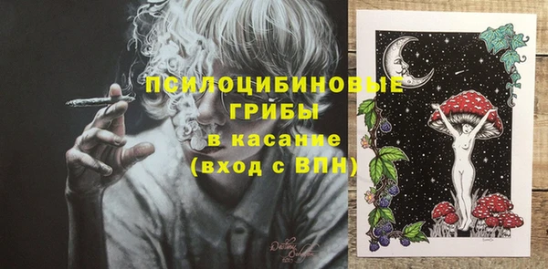 гидра Рославль