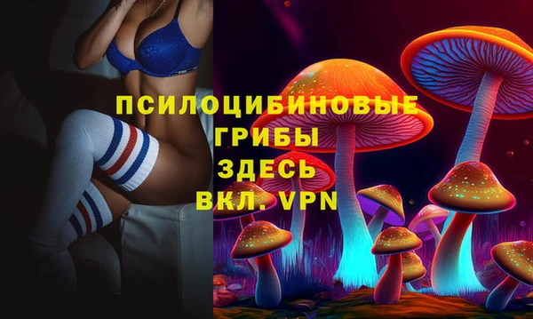 МДПВ Ростов