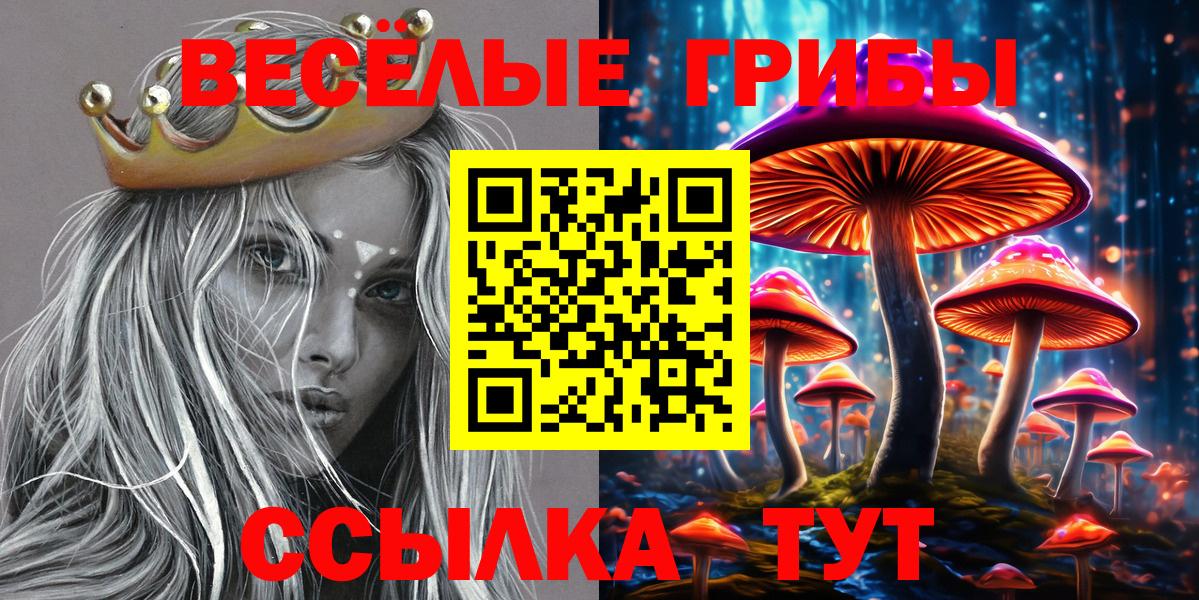 Галлюциногенные грибы GOLDEN TEACHER Рязань